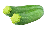 Zucchini Squash